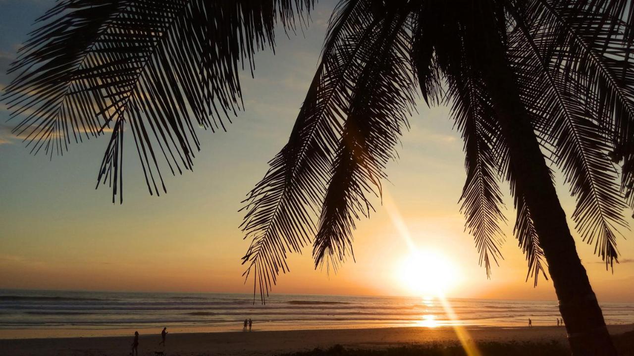 Calma Apartments Costa Rica マルパイス エクステリア 写真
