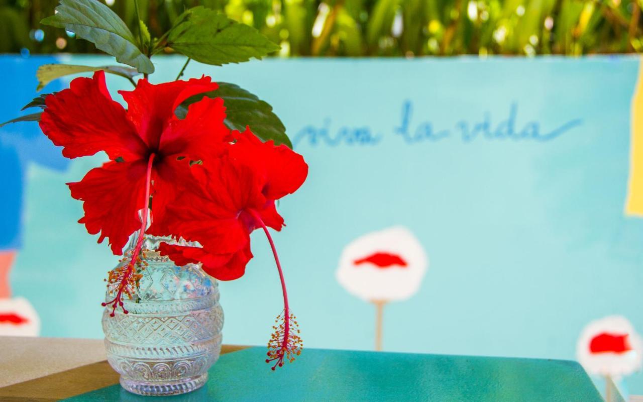 Calma Apartments Costa Rica マルパイス エクステリア 写真