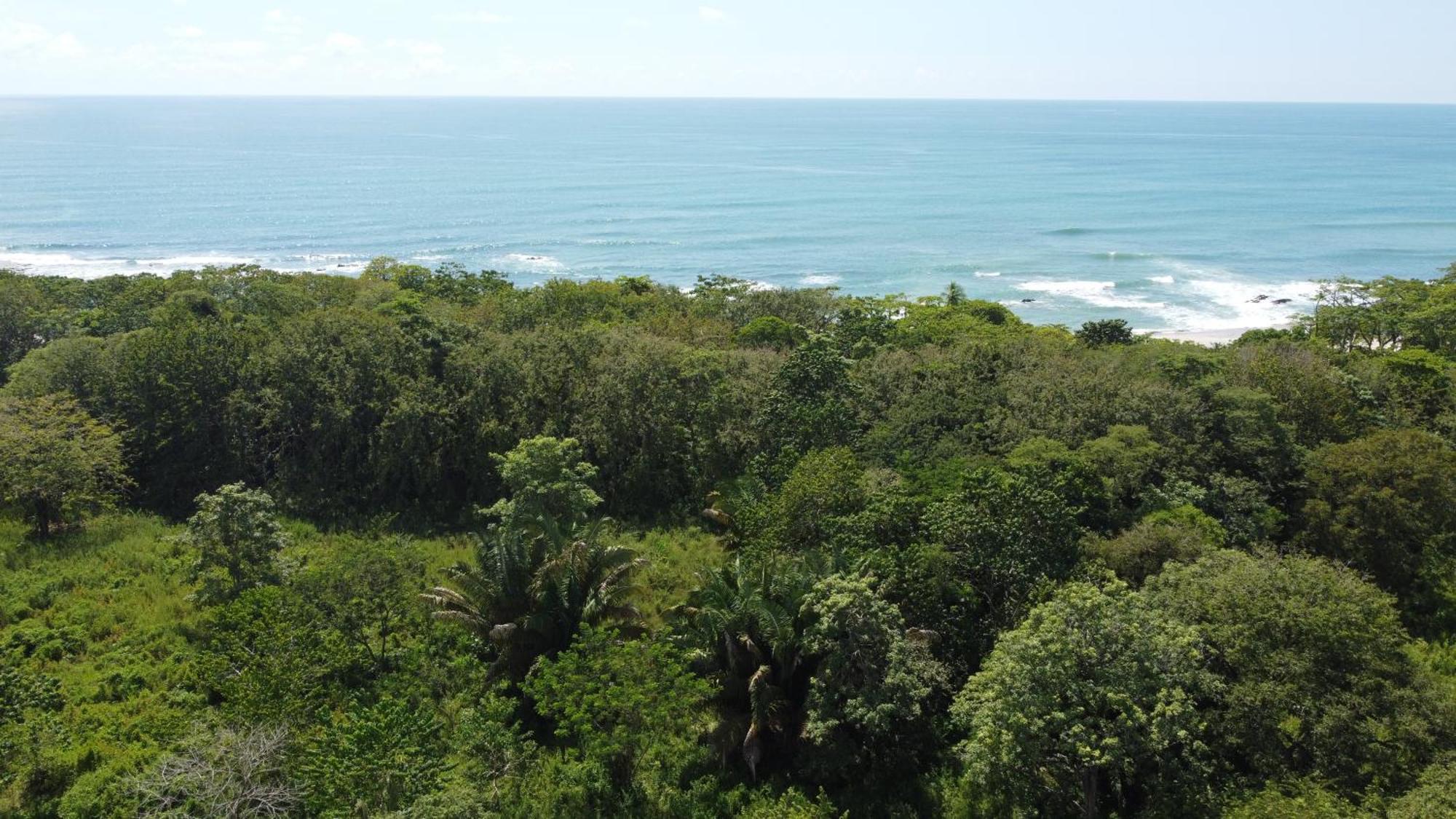 Calma Apartments Costa Rica マルパイス エクステリア 写真