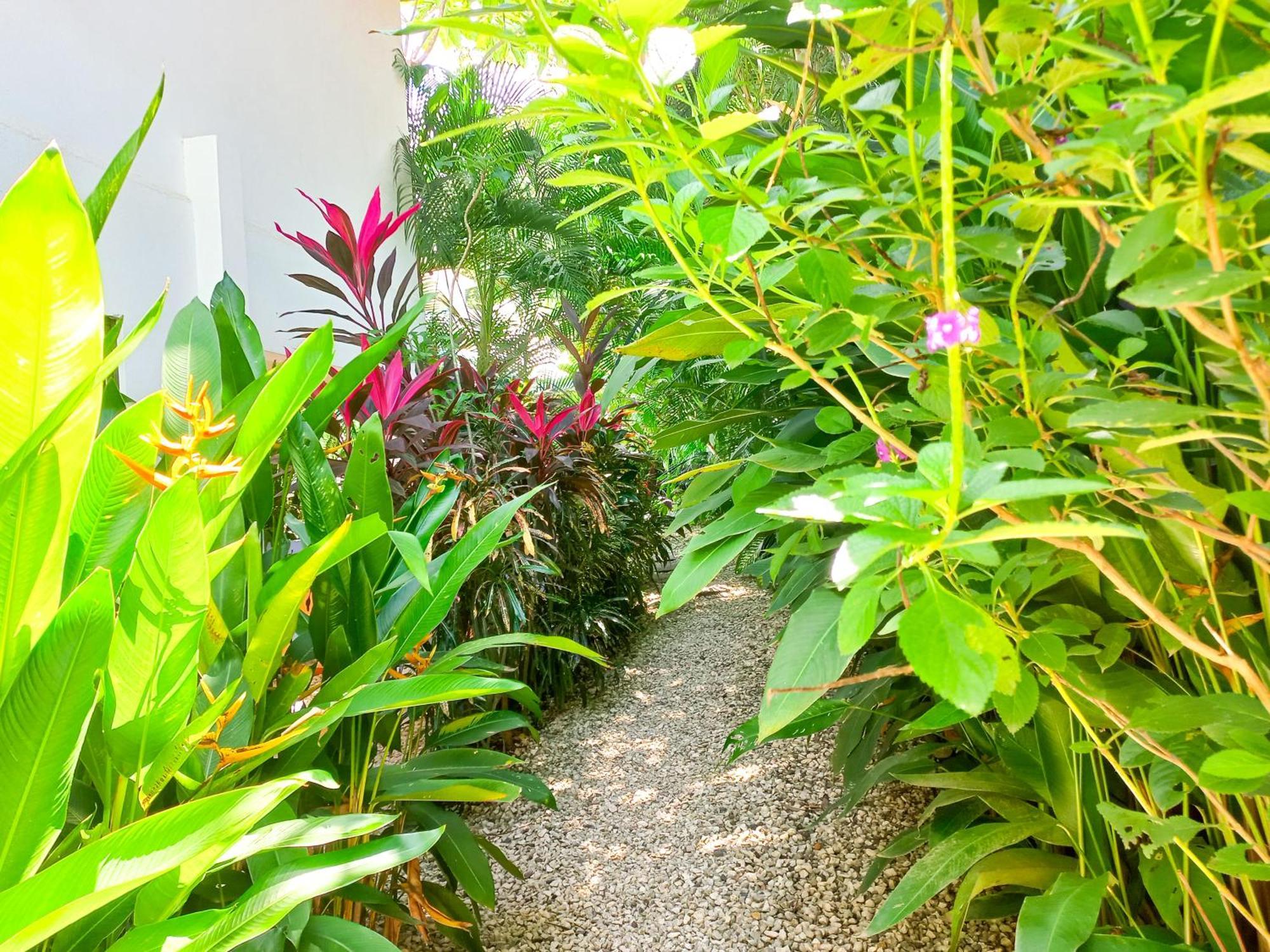 Calma Apartments Costa Rica マルパイス エクステリア 写真